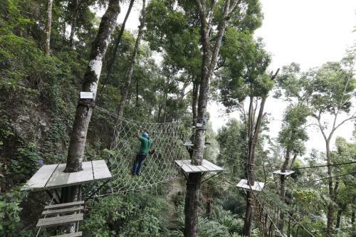 Hotel Tea Valley Resort
