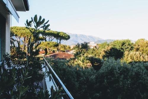 Hotel Villa Edera
