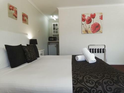 Agroturismo Clare Valley Motel