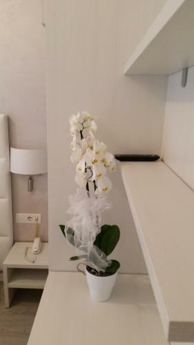 Hotel Acapulco
