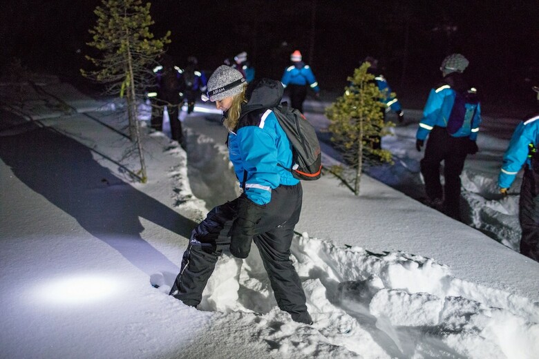 Wilderness Hotel Nellim & Igloos