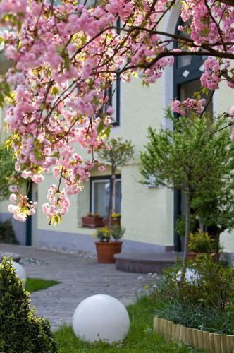 Hotel Rosenvilla