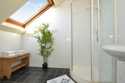Hostal Lynfield Guesthouse