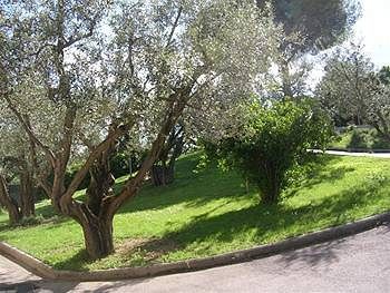 Hotel Tirrenus