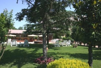 Hotel Garden
