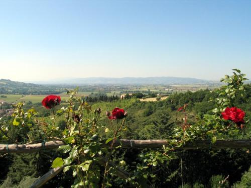 Apartamento Castel D`arno