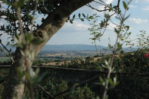 Apartamento Castel D`arno