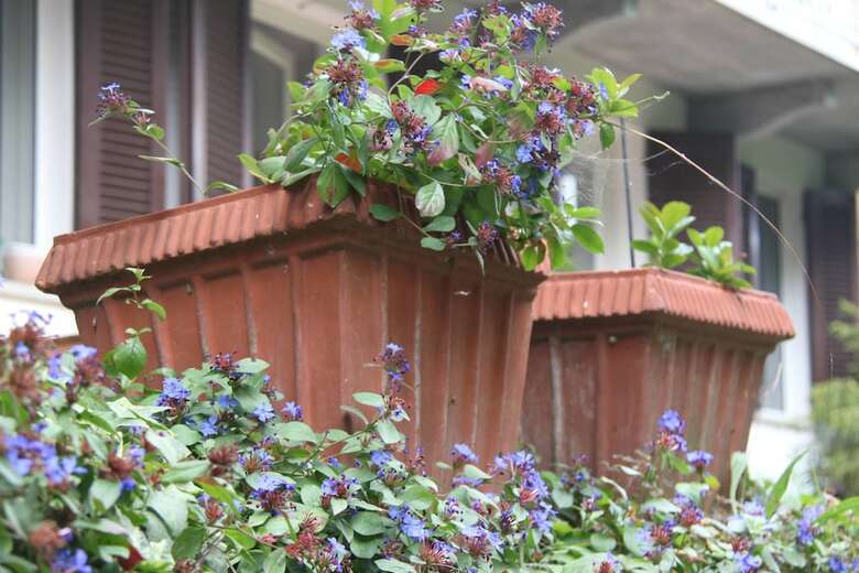 B&B Cascina Belsito