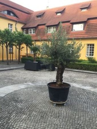 Hotel Vierseithof