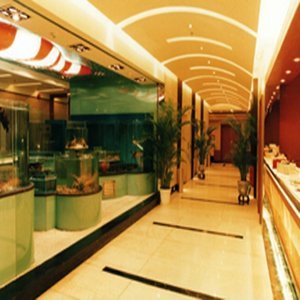 Hotel Asia International