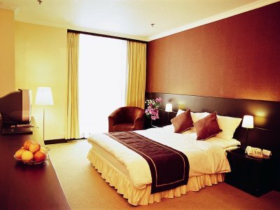 Hotel Magnificent International