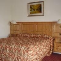 Hotel Viking