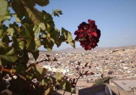 Riad Dar Al Safadi