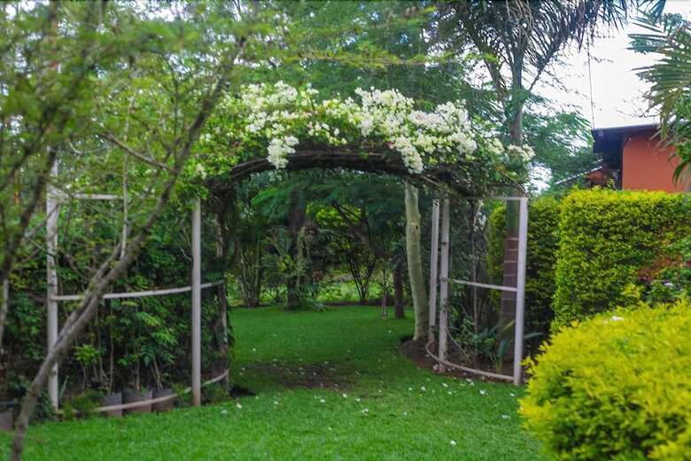 Palmwood Lodge