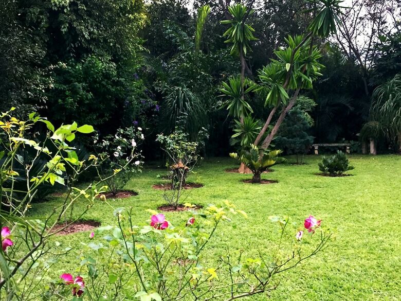 Palmwood Lodge