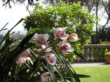 Hotel Villa Maria