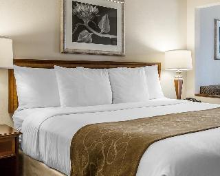 Hotel Comfort Suites Atlanta