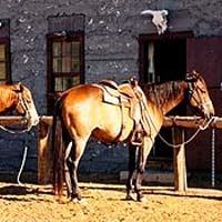 Hotel Ranch At Ucross