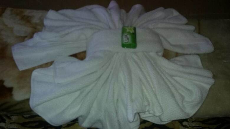 Hostal Pousada Alegre Pinheirinho
