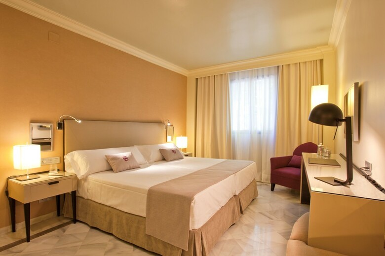 Hotel Vincci Albayz�n Granada