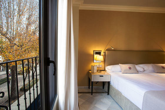 Hotel Vincci Albayz�n Granada