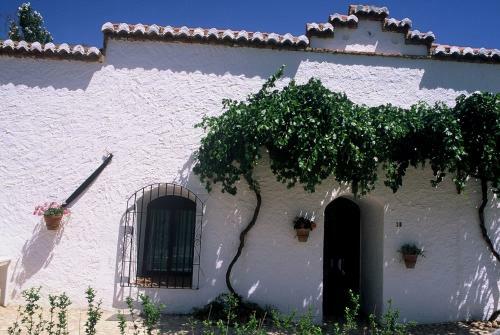 Apartamentos Cuevas Pedro Antonio De Alarc�n