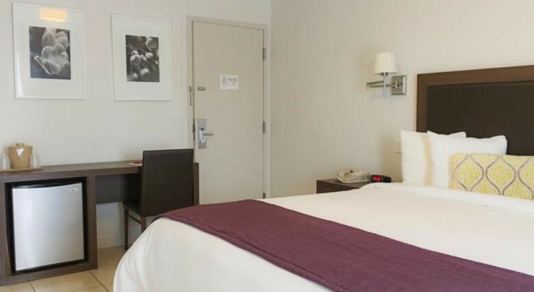 Hotel Collins