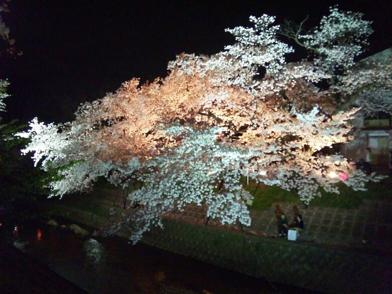 Hotel Allamanda
