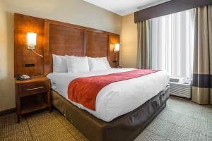 Hotel Comfort Suites
