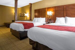 Hotel Comfort Suites