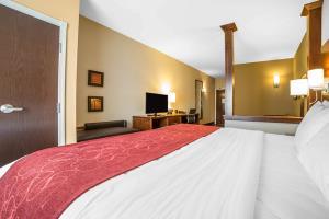 Hotel Comfort Suites