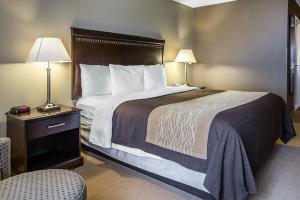 Hotel Comfort Inn And Suites