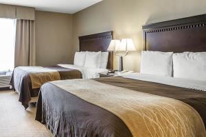 Hotel Comfort Inn And Suites