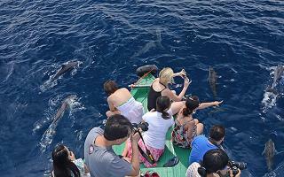 Hotel Herathera Island Resort
