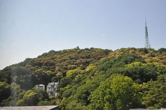 Matsuyama Tokyu Rei Hotel