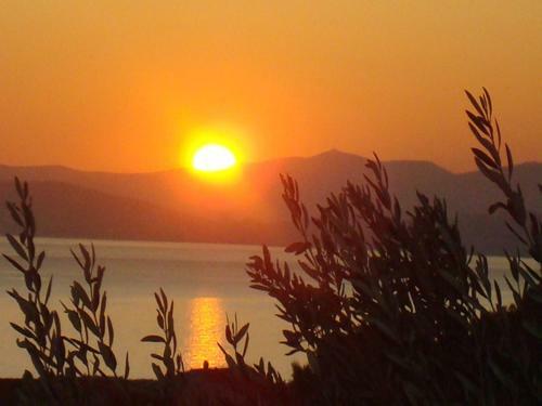 Apartamentos Villa Mikrut