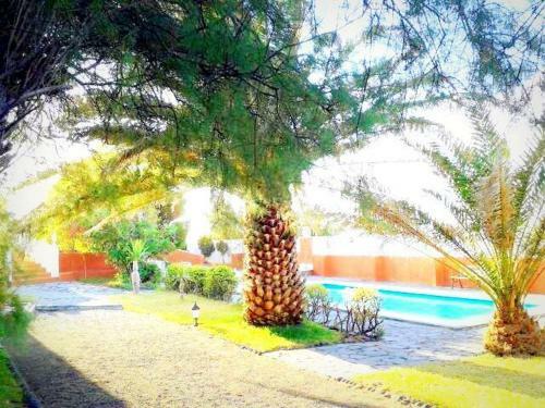 Hostal La Quinta Del Tarajal