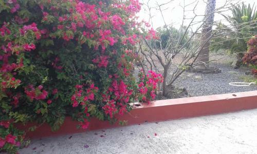 Casa Heredio