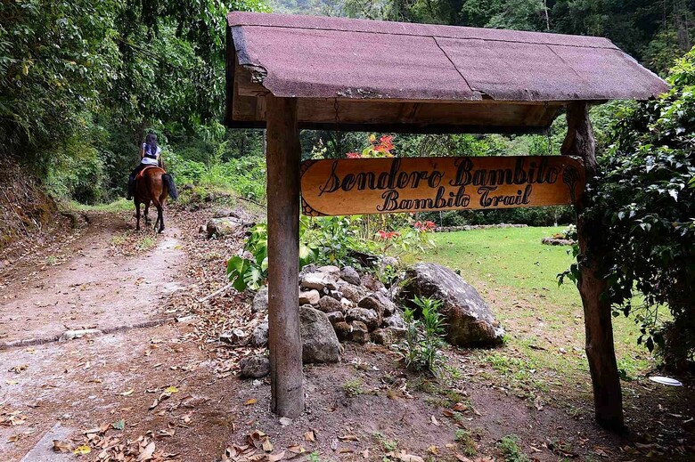 Hotel Bambito Resort