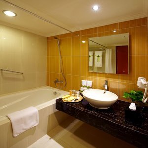 Hotel Century Park (superior)