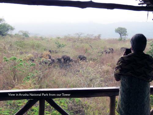 Meru Mbega Lodge