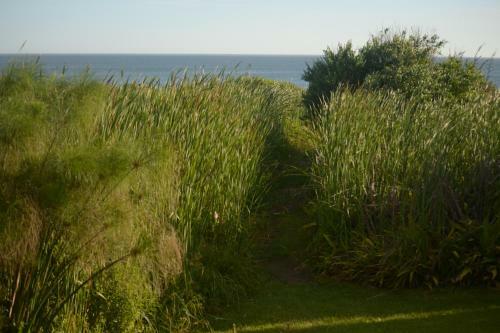 Lodge Casas Oceanicas