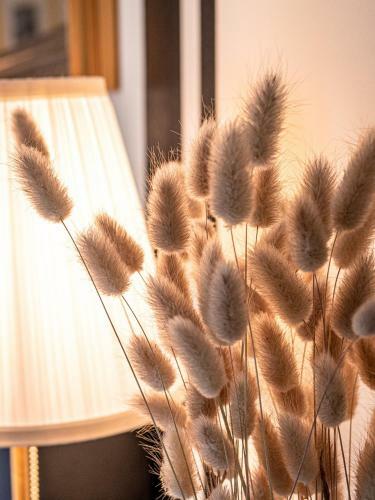 Bed & Breakfast Clos Saint Martin