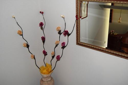 Hostal Pensi�n Residencia Cecilia