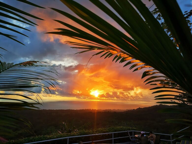 Hotel Whales  And  Dolphins