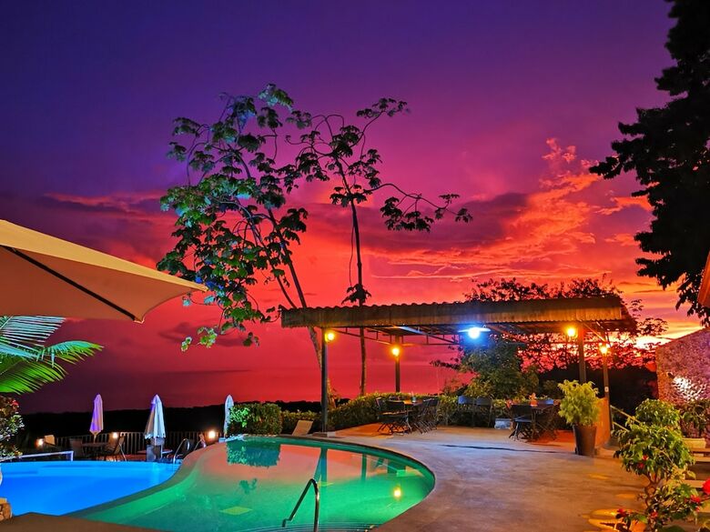 Hotel Whales  And  Dolphins
