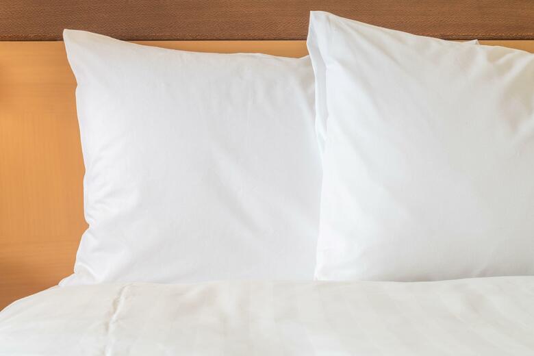 Hotel Quality Inn & Suites North Legoland Area
