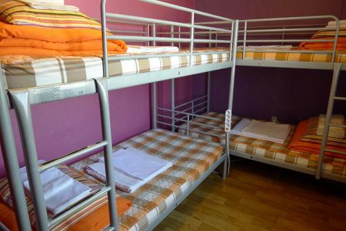 The House Hostel