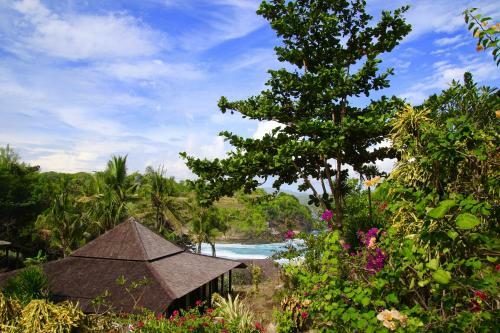 Villa Trevally