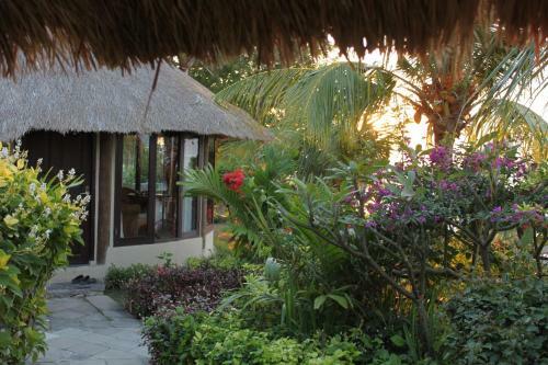 Coconuts Beach Resort